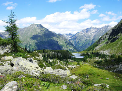 Almhütte am Wirpitschsee