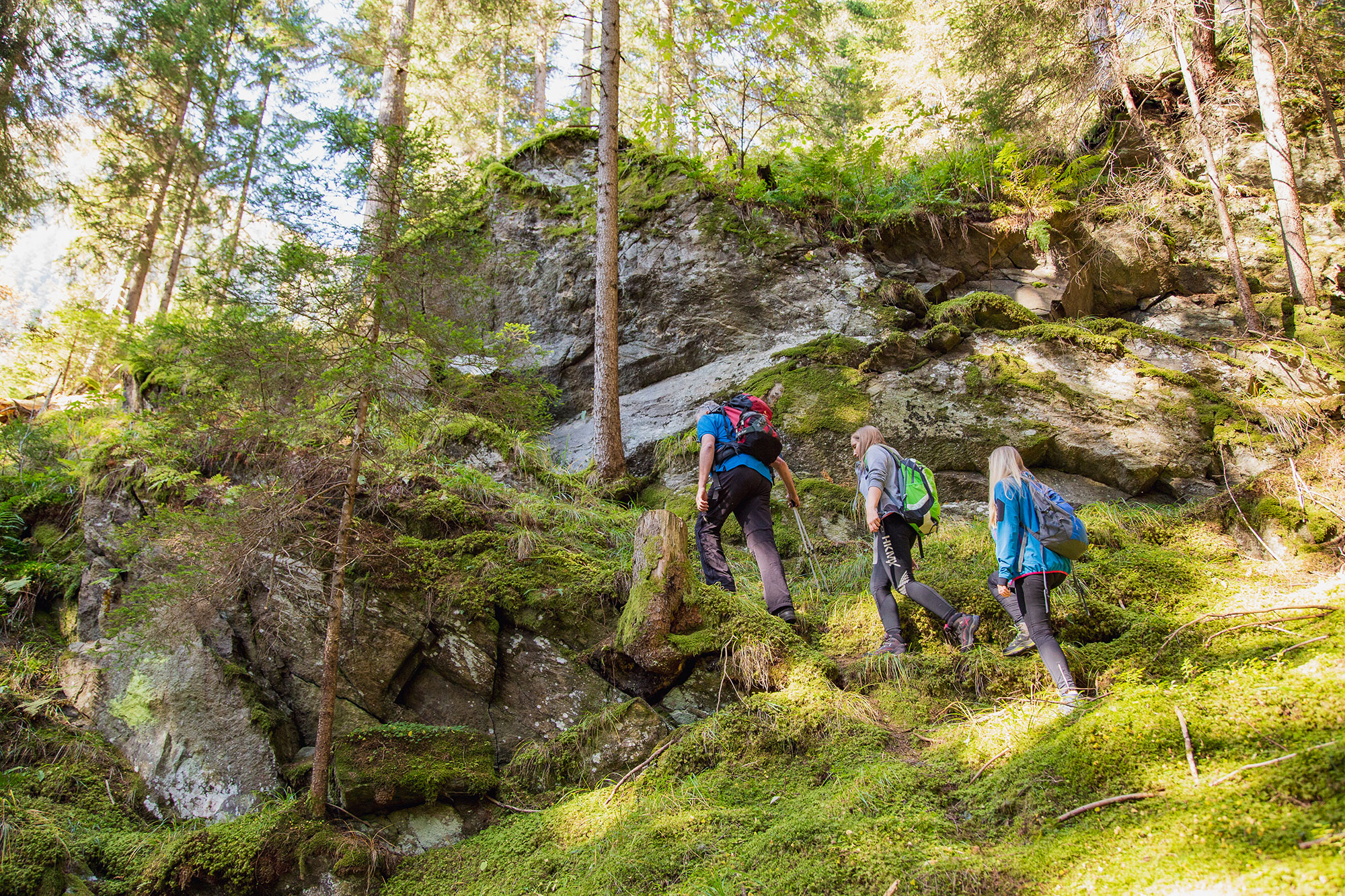 Sommerurlaub am Bauernhof